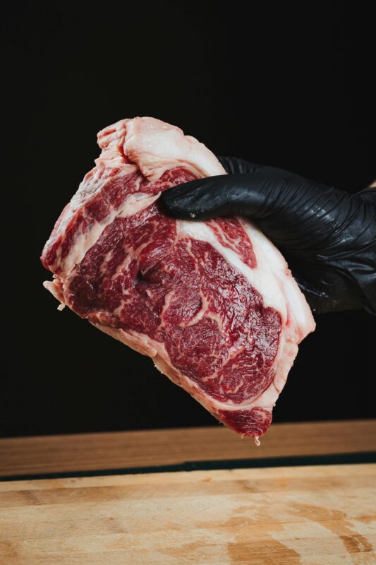 carnivore stravovanie