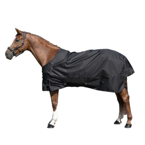 Potrebujete pre svojho koňa ľahkú a nepremokavú deku? Naša deka Allweather 50 g na 1 000 den je ideálna na ochranu koňa pred jarným či jesenným vlhkom.