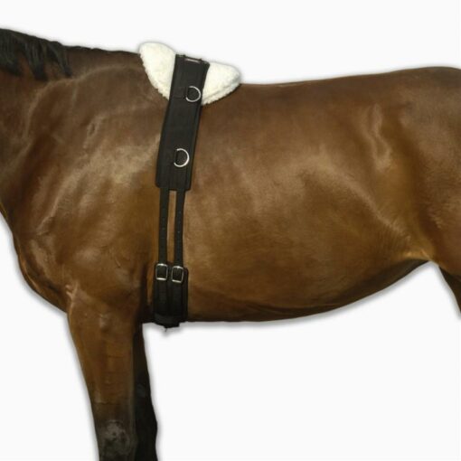 Vďaka množstvu krúžkov môžete na obrušník pripevniť väčšinu postrojov a prispôsobiť ich účinok podľa tréningovej úrovne koňa.